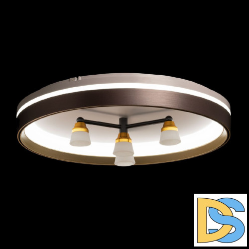 Потолочный светильник De Markt Норден 660014701