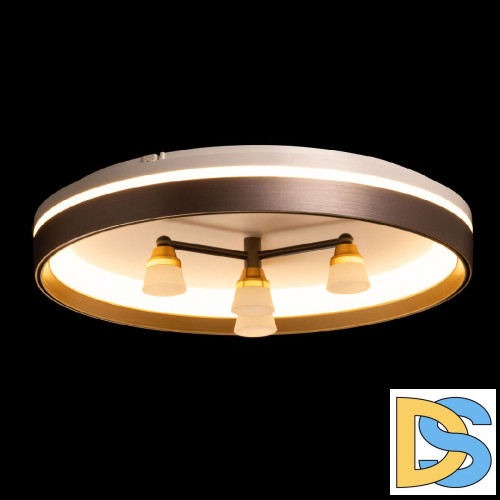 Потолочный светильник De Markt Норден 660014701