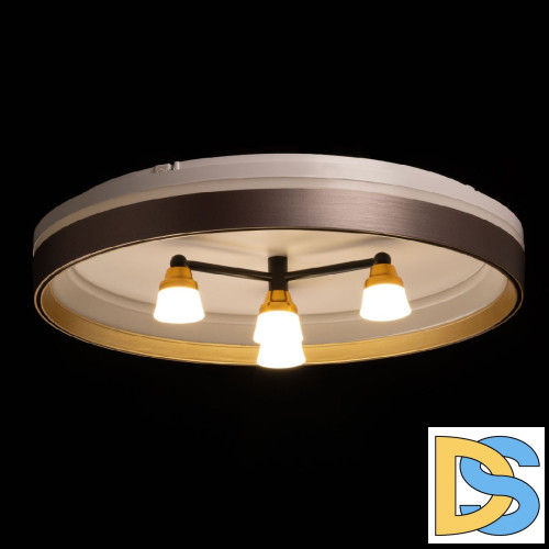 Потолочный светильник De Markt Норден 660014701