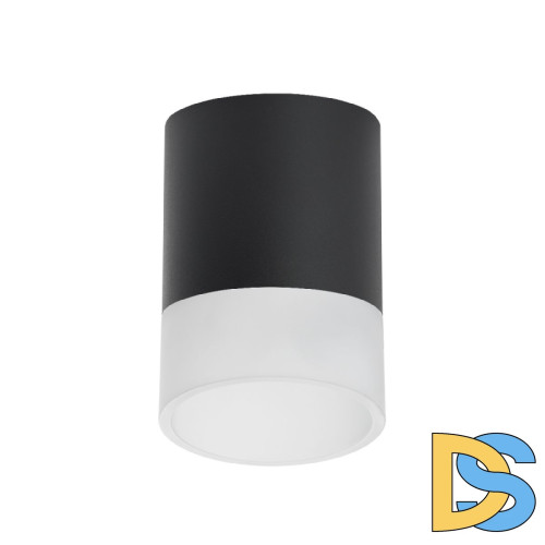 Накладной светильник Lightstar Rullo (213487+202481) R348781