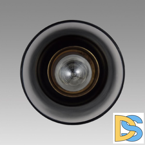 Подвесной светильник Lumion Isha 8101/1A