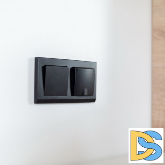 Рамка на 2 поста (черный) W0021808