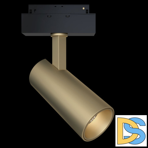 Трековый светильник Maytoni Focus LED TR019-2-15W3K-MG