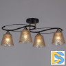 Потолочная люстра Reluce 06087-0.3-04 BK+FG