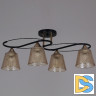 Потолочная люстра Reluce 06087-0.3-04 BK+FG