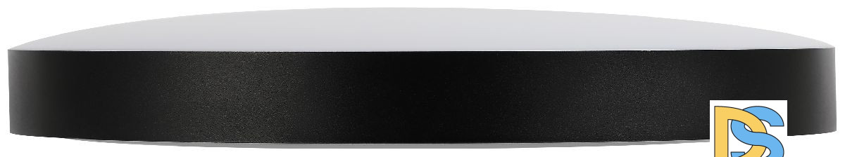 Потолочный светильник Эра Relict 48 Pult SPB-6-60-RC BK Б0059497