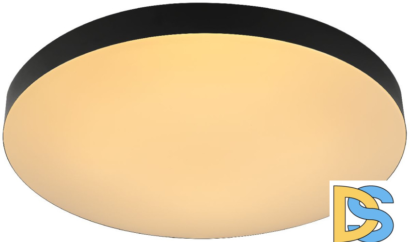 Потолочный светильник Эра Relict 48 Pult SPB-6-60-RC BK Б0059497