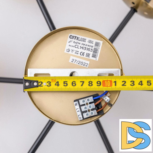 Люстра на штанге Citilux Шарлиз CL143163