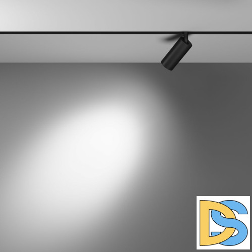 Трековый магнитный светильник Maytoni Focus LED TR032-4-5WTW-S-DD-B