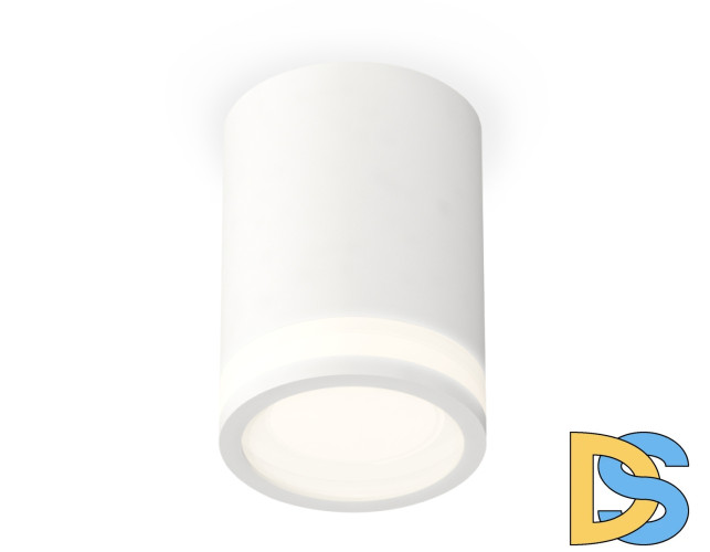 Потолочный светильник Ambrella Light Techno Spot XS7421021 (C7421, N7120)