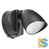 Уличный настенный светодиодный светильник Lightstar Diva 374147