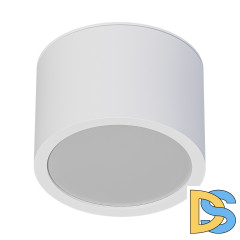 Накладной светильники Arte Lamp Intercrus A5543PL-1WH