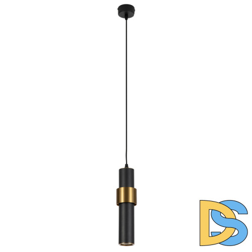 Подвесной светильник Arte Lamp Ran A3144SP-1BK