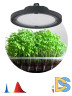 Фитопрожектор для растений Эра FITO-50W-RB-LED-UFO Б0053280