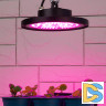 Фитопрожектор для растений Эра FITO-50W-RB-LED-UFO Б0053280