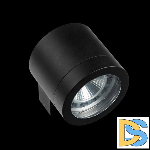 Уличный настенный светильник Lightstar Paro 350617