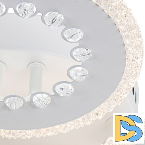 Потолочный светильник Escada Dew 10233/4LED