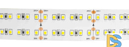Светодиодная лента Apeyron 24В ПРО 42Вт/м smd2835 240д/м IP20 4200Лм/м 5м 6500К 00-307