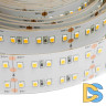 Светодиодная лента Apeyron 24В ПРО 42Вт/м smd2835 240д/м IP20 4200Лм/м 5м 6500К 00-307