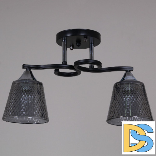 Потолочный светильник Reluce 06089-0.3-02 BK+CR