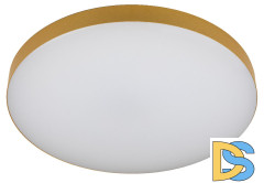 Потолочный светильник Эра Relict 48 Pult SPB-6-60-RC MG Б0059498