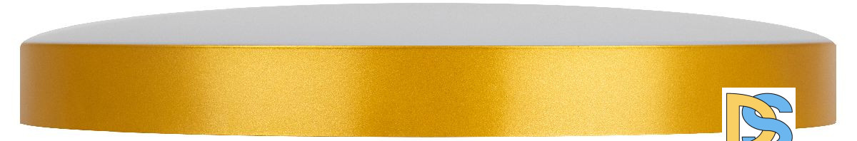 Потолочный светильник Эра Relict 48 Pult SPB-6-60-RC MG Б0059498