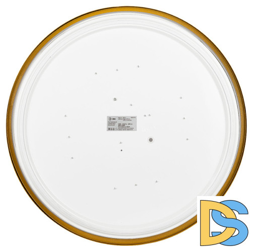 Потолочный светильник Эра Relict 48 Pult SPB-6-60-RC MG Б0059498