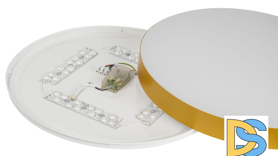 Потолочный светильник Эра Relict 48 Pult SPB-6-60-RC MG Б0059498