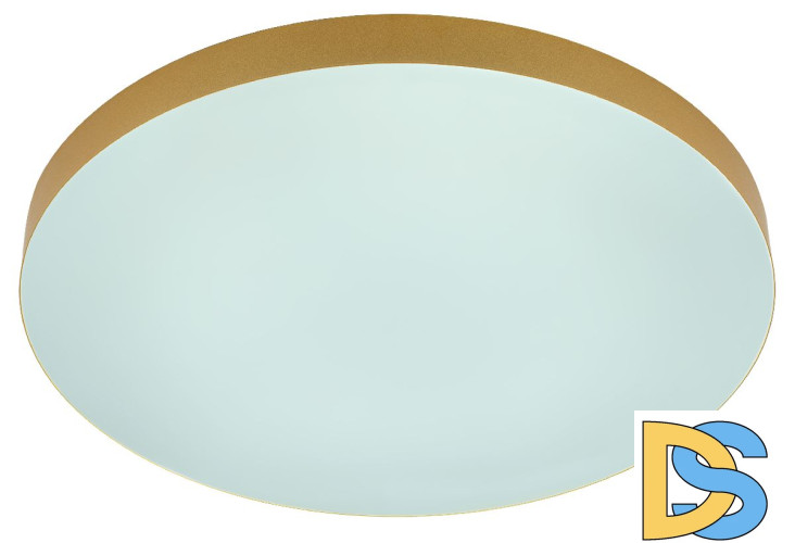 Потолочный светильник Эра Relict 48 Pult SPB-6-60-RC MG Б0059498