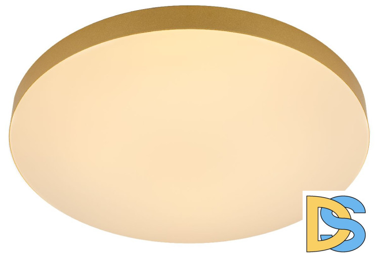 Потолочный светильник Эра Relict 48 Pult SPB-6-60-RC MG Б0059498