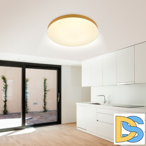 Потолочный светильник Эра Relict 48 Pult SPB-6-60-RC MG Б0059498