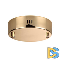 Основание для подвесного светильника Odeon Light Vekia 5015/2R