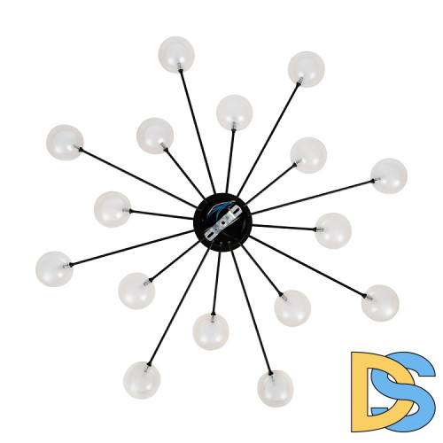 Потолочная люстра Freya Celebrity FR5242CL-16B1