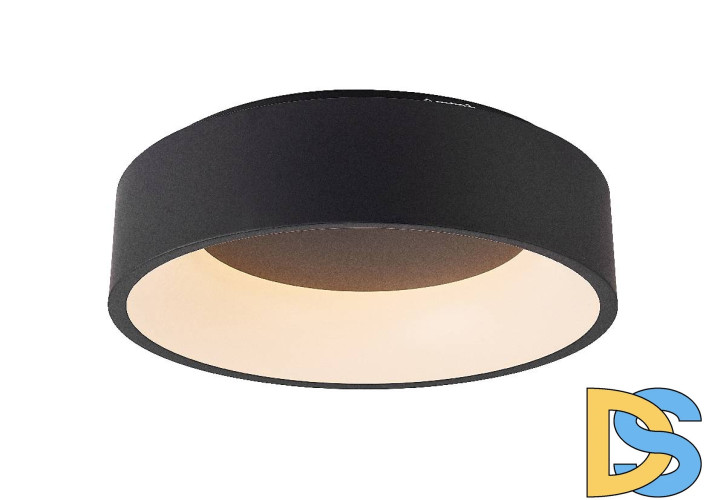 Потолочный светильник Myfar Shannon MR2193-1PL