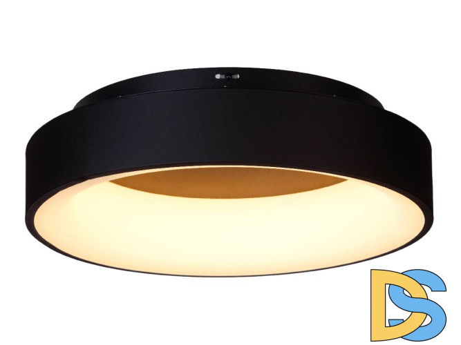 Потолочный светильник Myfar Shannon MR2193-1PL