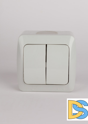 Выключатель двухклавишный ELBI Eva 554-011500-202