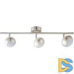 Спот Toplight Doreen TL1241Y-03SN