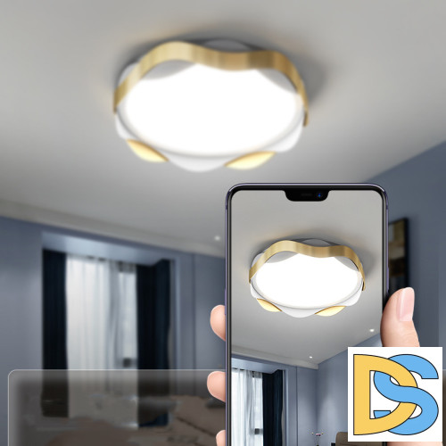 Потолочный cветильник ImperiumLoft Maaret 223935-23