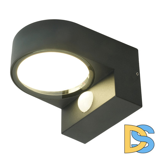 Уличный настенный светильник Feron Бостон DH1202 51327