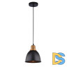 Подвесной светильник Arte Lamp Eurica A4245SP-1BK