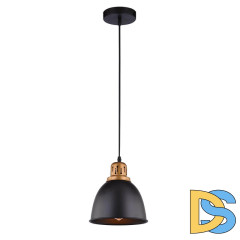 Подвесной светильник Arte Lamp Eurica A4245SP-1BK