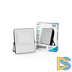 Прожектор светодиодный Gauss Evo 100W 6500К 687511100