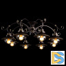 Потолочная люстра Arte Lamp 7 A4577PL-8CK
