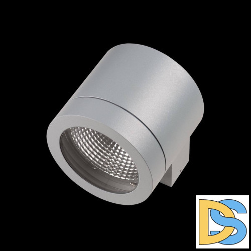 Уличный настенный светильник Lightstar Paro 350619