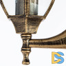 Уличный настенный светильник Arte Lamp Pegasus A3151AL-1BN
