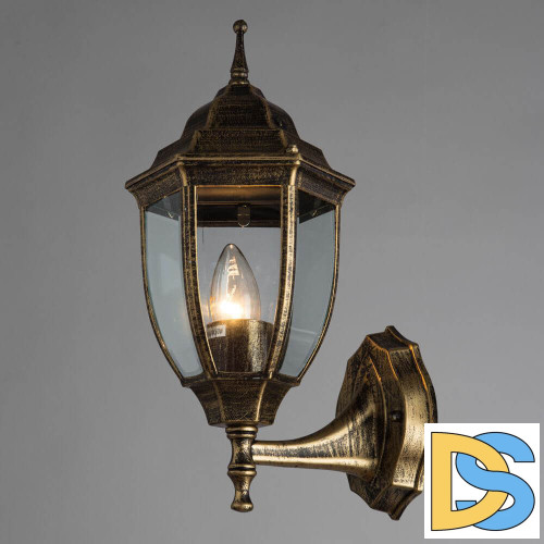 Уличный настенный светильник Arte Lamp Pegasus A3151AL-1BN