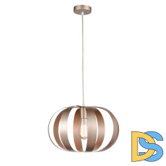 Подвесной светильник Vele Luce Ophir VL5324P21