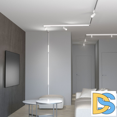 Трековый светильник Elektrostandard Slim Magnetic 85506/01 4690389189203 a061299