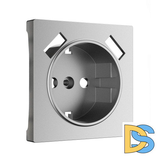 Накладка для розетки USB Werkel (серебряный матовый) W1179565