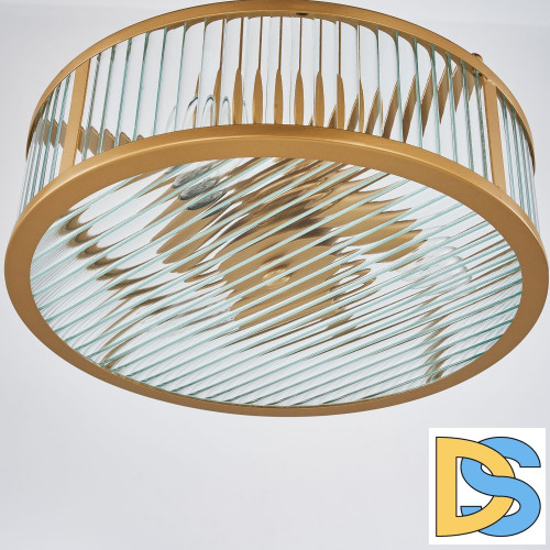 Подвесная люстра Favourite Radiales 3099-3P